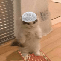 Golam's profile picture